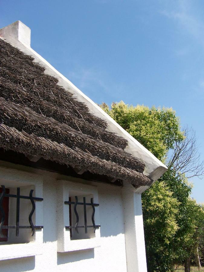 Mas Dou L'Estele Chambre D'Hotes Arles Dış mekan fotoğraf